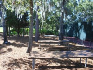 Picnic area with grill at BWEHA